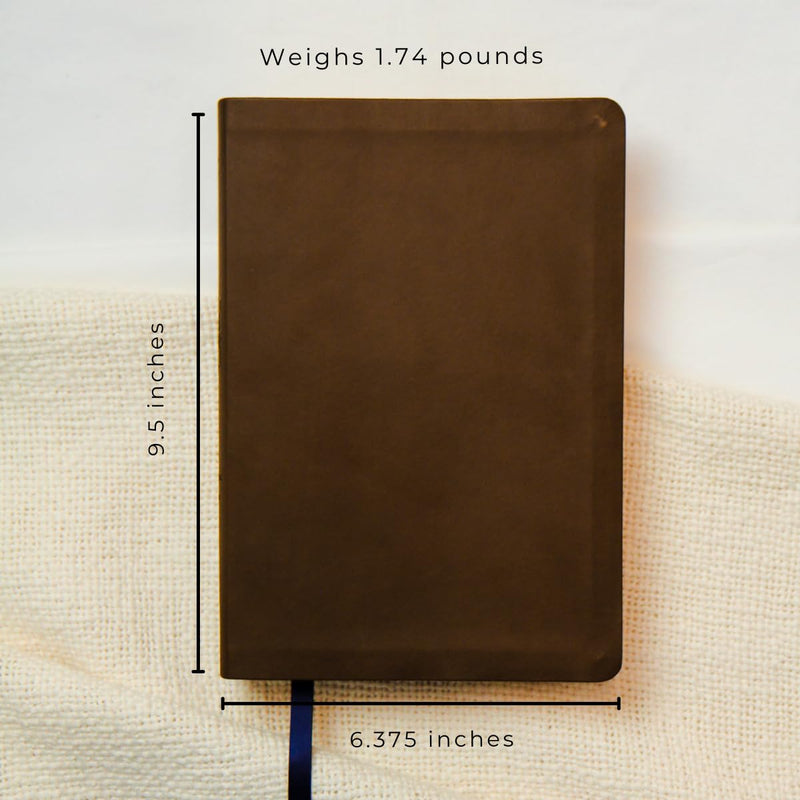 The Bible Recap 365-Day Chronological Study Bible: English Standard Version - Vegan Imitation Leather, Brown Imitation Leather
