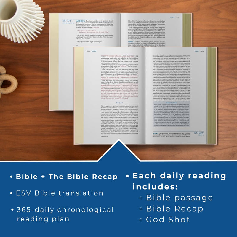 The Bible Recap 365-Day Chronological Study Bible: English Standard Version - Imitation Leather Over Board (Hardcover), Pink Imitation Leather