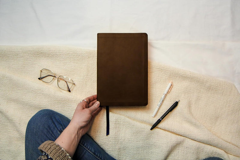 The Bible Recap 365-Day Chronological Study Bible: English Standard Version - Vegan Imitation Leather, Brown Imitation Leather