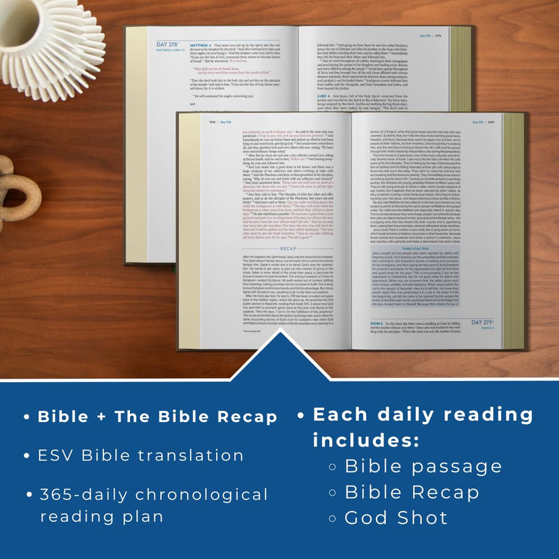 The Bible Recap 365-Day Chronological Study Bible: English Standard Version - Vegan Imitation Leather, Brown Imitation Leather