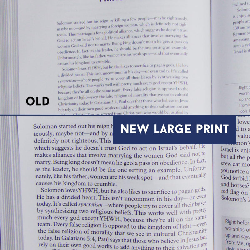 The Bible Recap Large Print Edition: A One-Year Guide to Reading and Understanding the Entire Bible Hardcover – Large Print