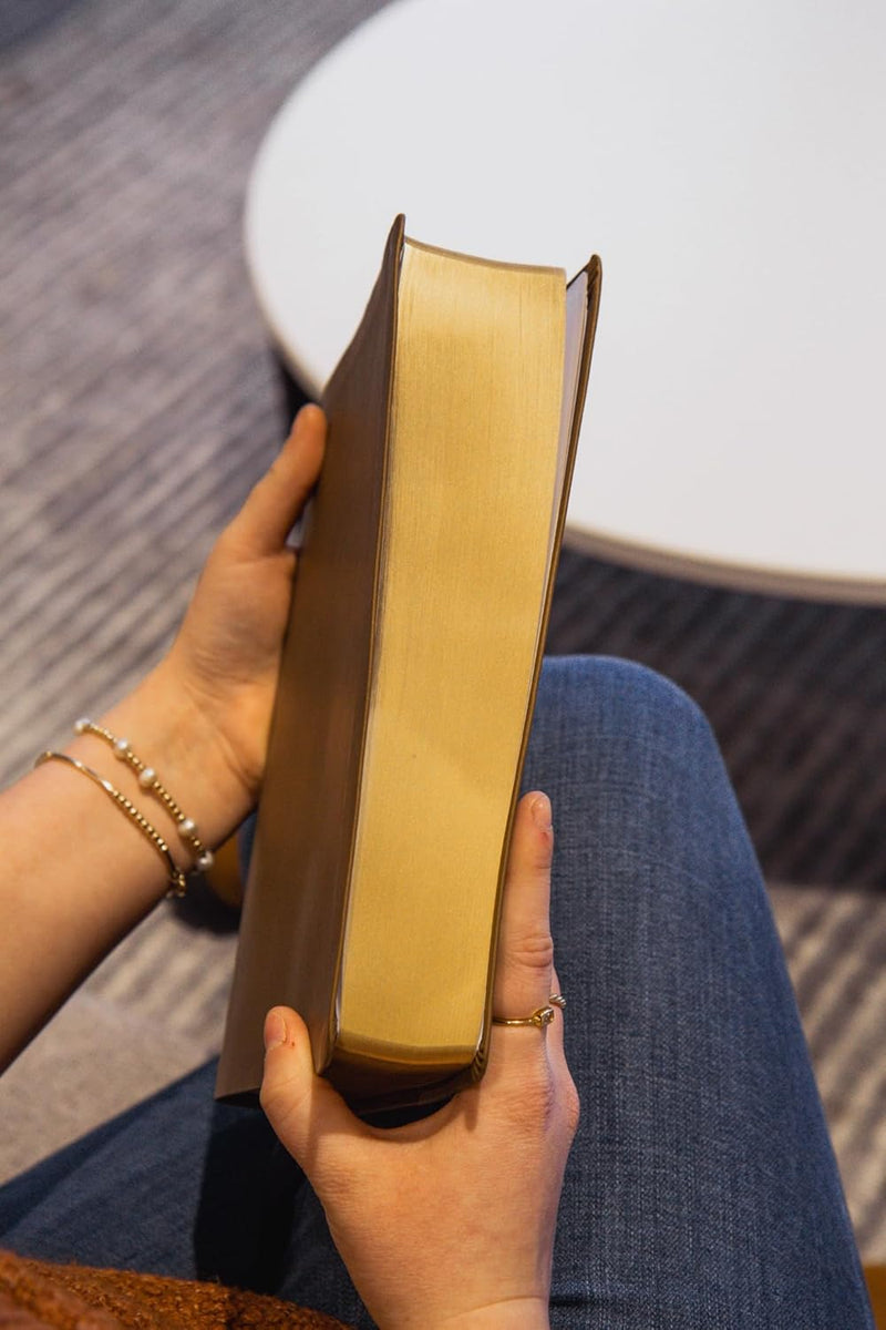 The Bible Recap 365-Day Chronological Study Bible: English Standard Version - Vegan Imitation Leather, Brown Imitation Leather