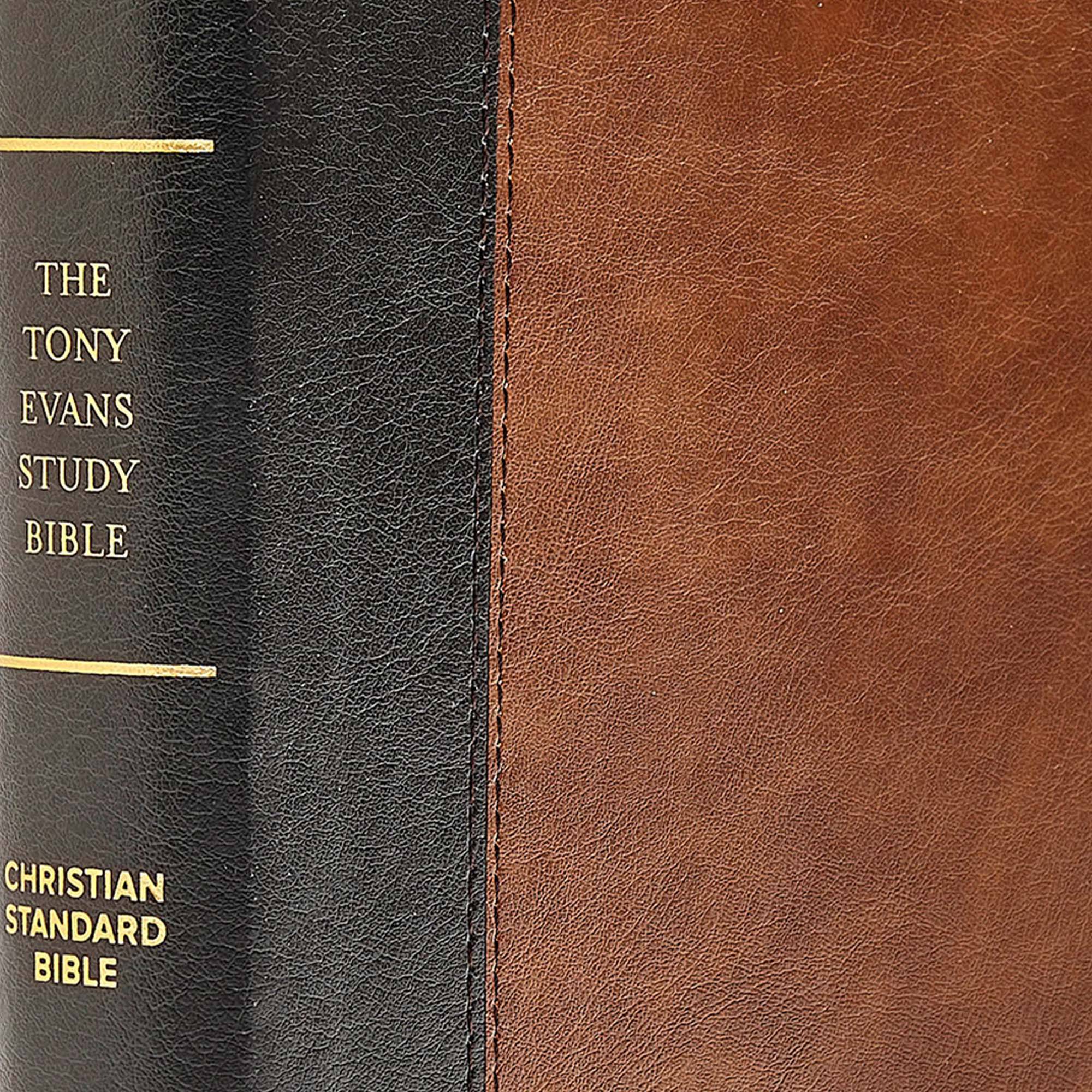 Study Bible