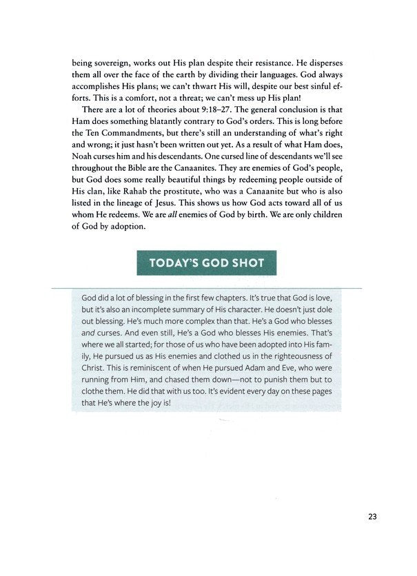 The Bible Recap, Deluxe Edition (Sage Floral): A One-Year Guide to Reading and Understanding the Entire Bible