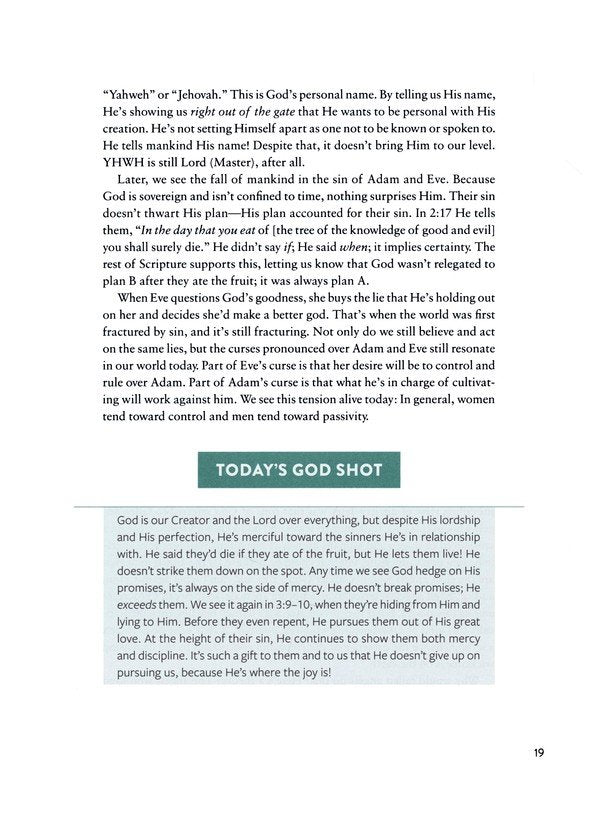 The Bible Recap, Deluxe Edition (Sage Floral): A One-Year Guide to Reading and Understanding the Entire Bible