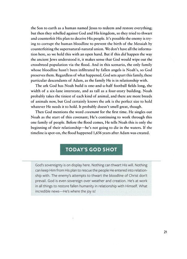 The Bible Recap, Deluxe Edition (Sage Floral): A One-Year Guide to Reading and Understanding the Entire Bible