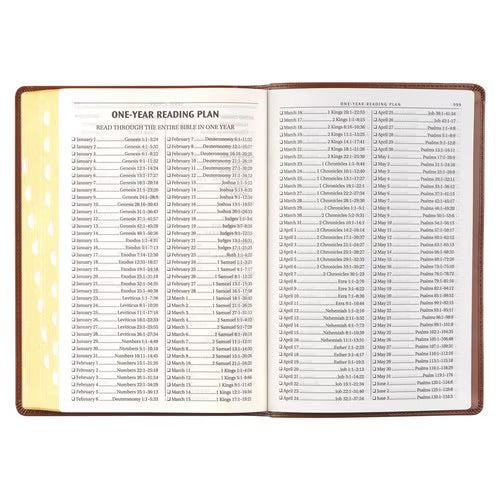 Antiqued Brown Faux Leather Large Print Thinline King James Version Bible with Thumb Index