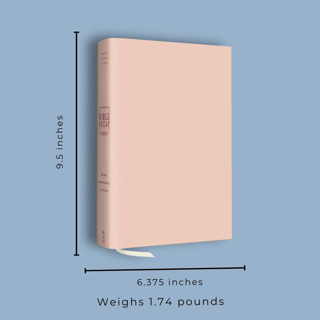 The Bible Recap 365-Day Chronological Study Bible: English Standard Version - Imitation Leather Over Board (Hardcover), Pink Imitation Leather