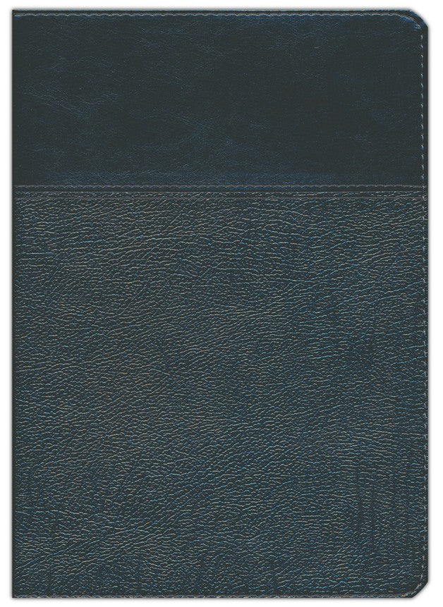 Biblia de estudio Ryrie ampliada: Duo-tono negor con índice (Spanish Edition) Leather Bound