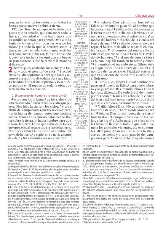 Biblia de estudio Ryrie ampliada: Duo-tono negor con índice (Spanish Edition) Leather Bound