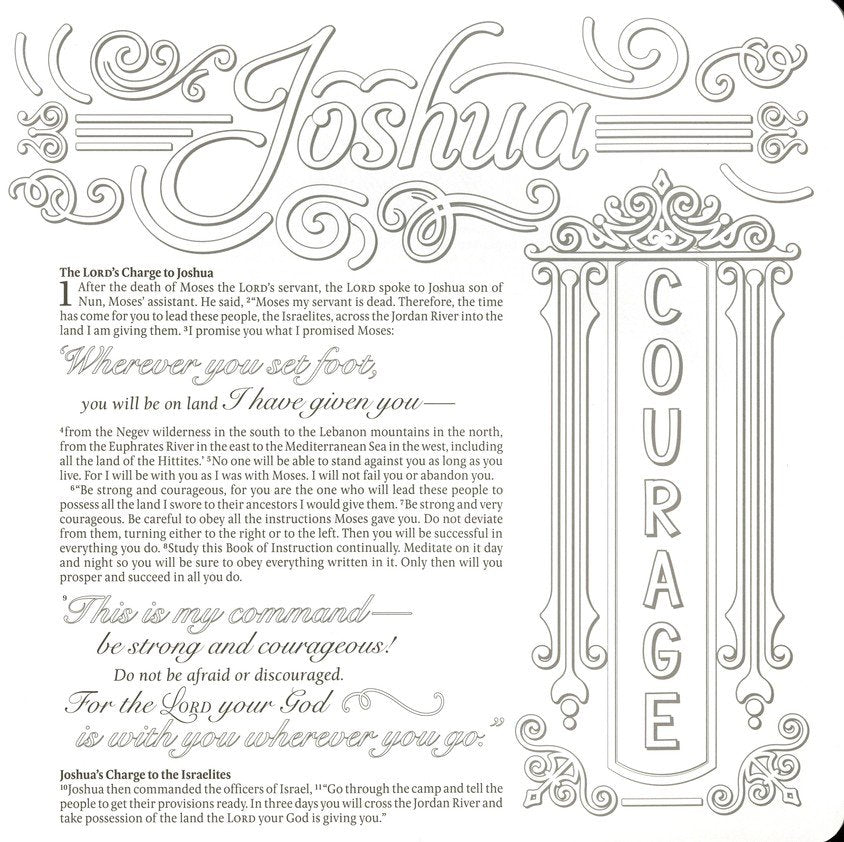 Inspire: Joshua, Judges &amp; Ruth By: Tyndale