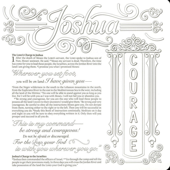 Inspire: Joshua, Judges &amp; Ruth By: Tyndale