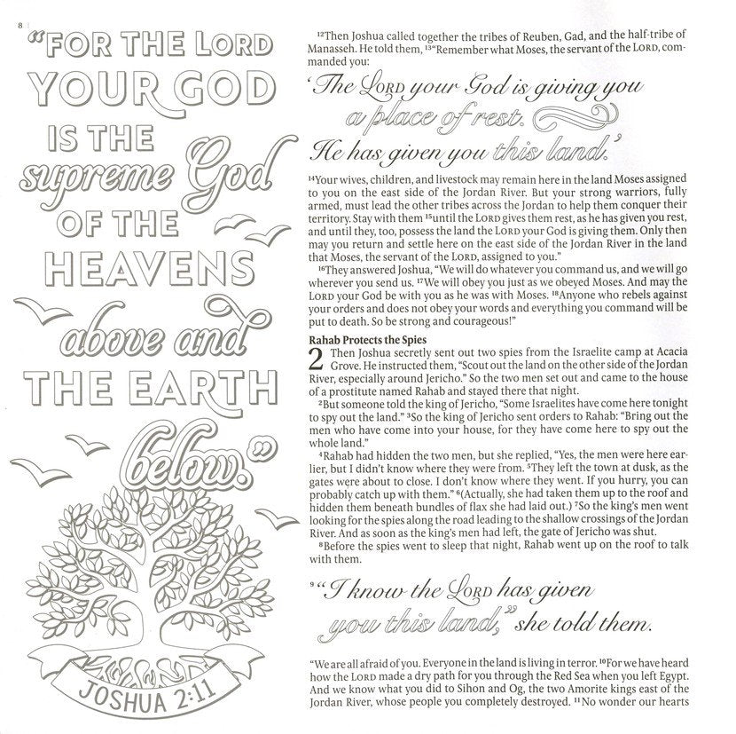 Inspire: Joshua, Judges &amp; Ruth By: Tyndale
