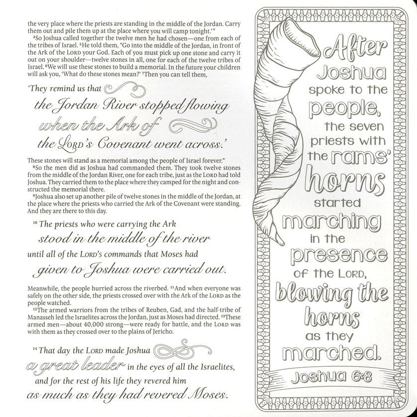 Inspire: Joshua, Judges &amp; Ruth By: Tyndale