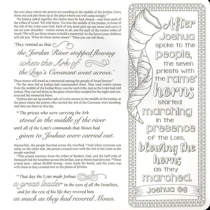 Inspire: Joshua, Judges &amp; Ruth By: Tyndale