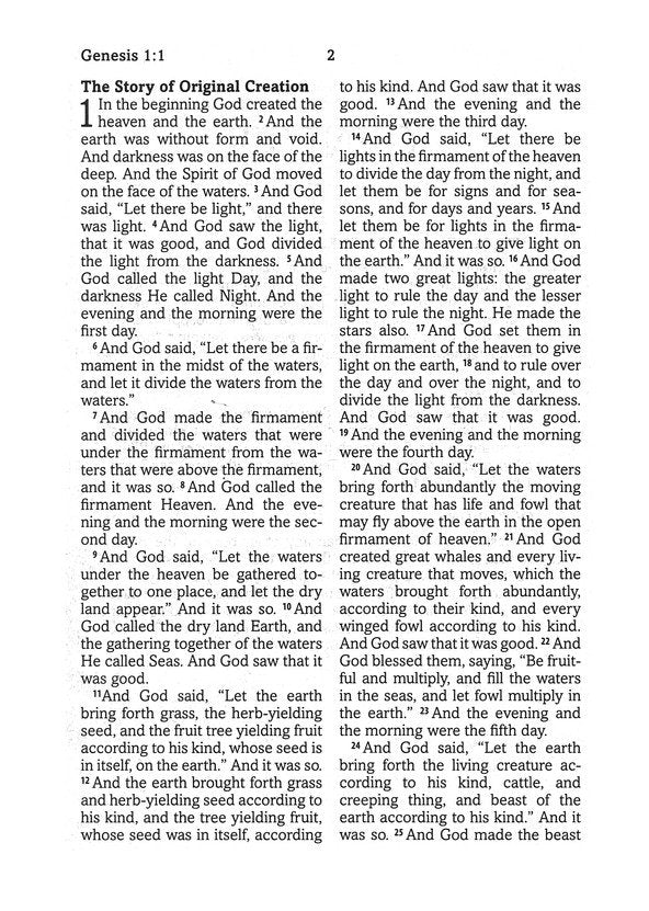 Simplified KJV--Large Print [Plum &amp; Paisley]