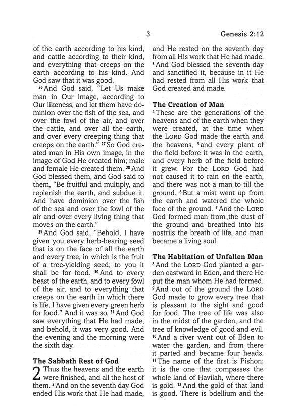 Simplified KJV--Large Print [Plum &amp; Paisley]