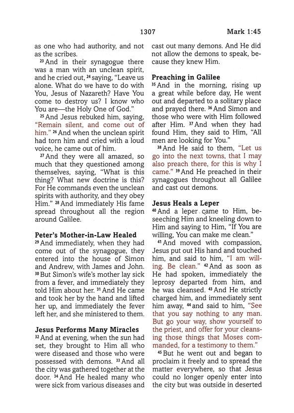 Simplified KJV--Large Print [Plum &amp; Paisley]