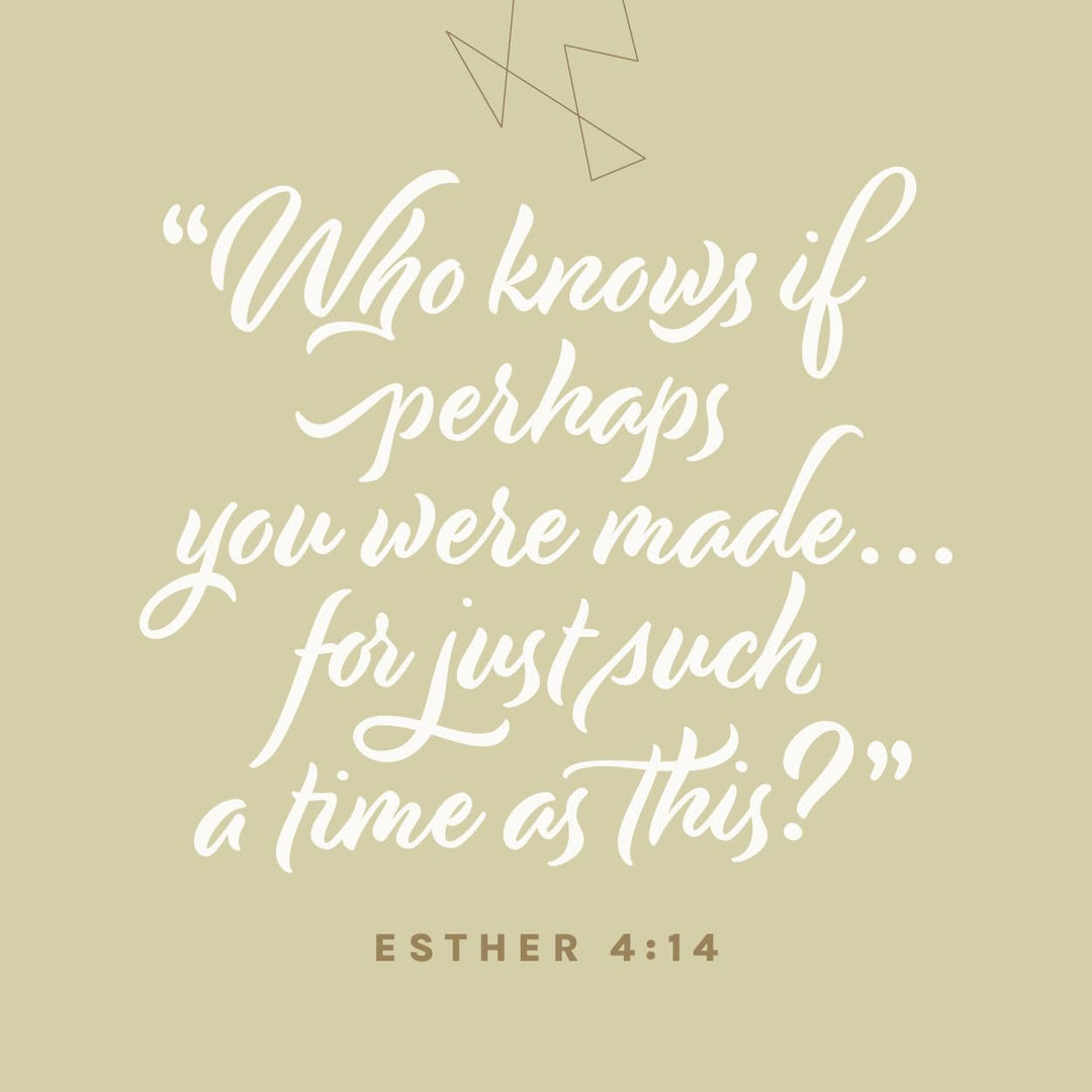 NLT Every Woman’s Bible, Filament Enabled (LeatherLike, Soft Gold, Indexed, Red Letter)