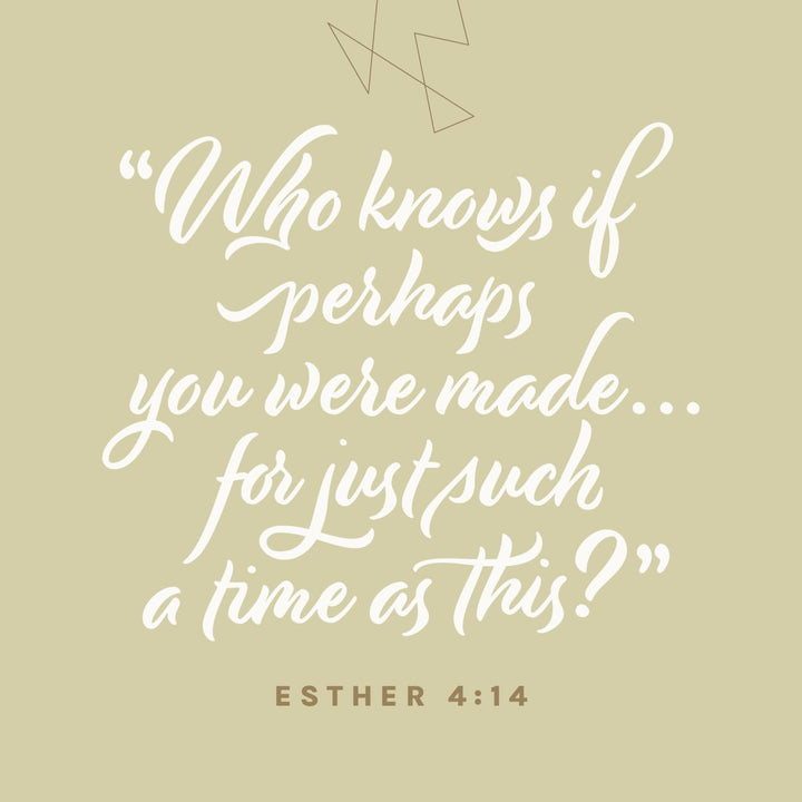 NLT Every Woman’s Bible, Filament Enabled (LeatherLike, Soft Gold, Indexed, Red Letter)