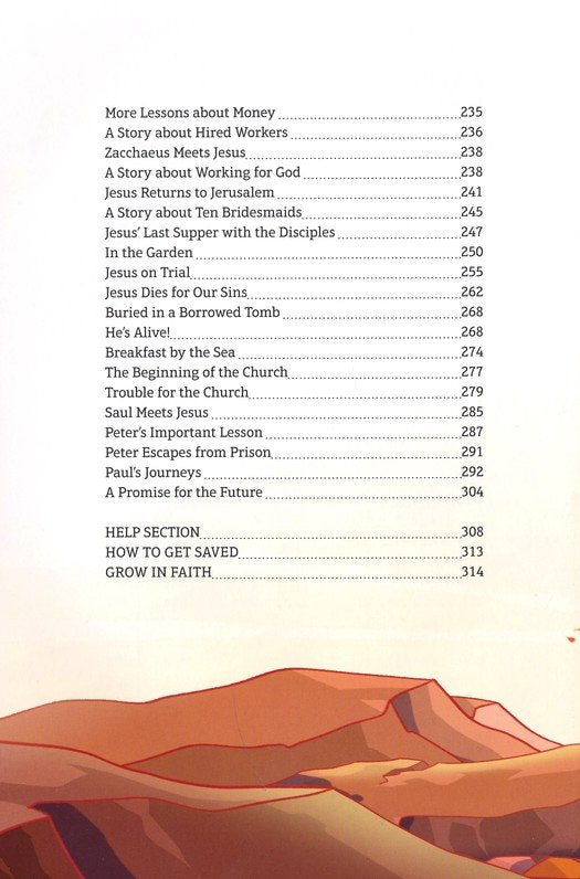 The Junior Bible - Hardcover
