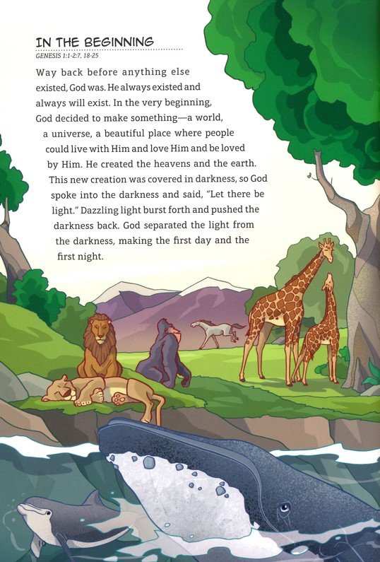 The Junior Bible - Hardcover