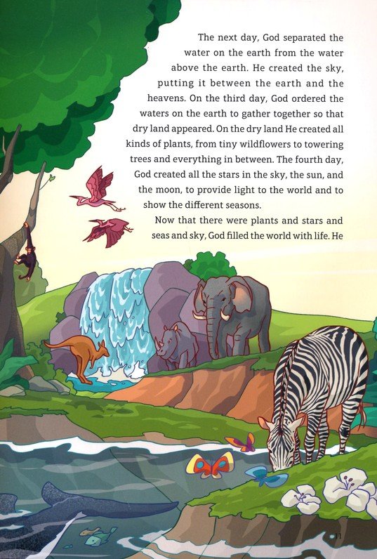 The Junior Bible - Hardcover
