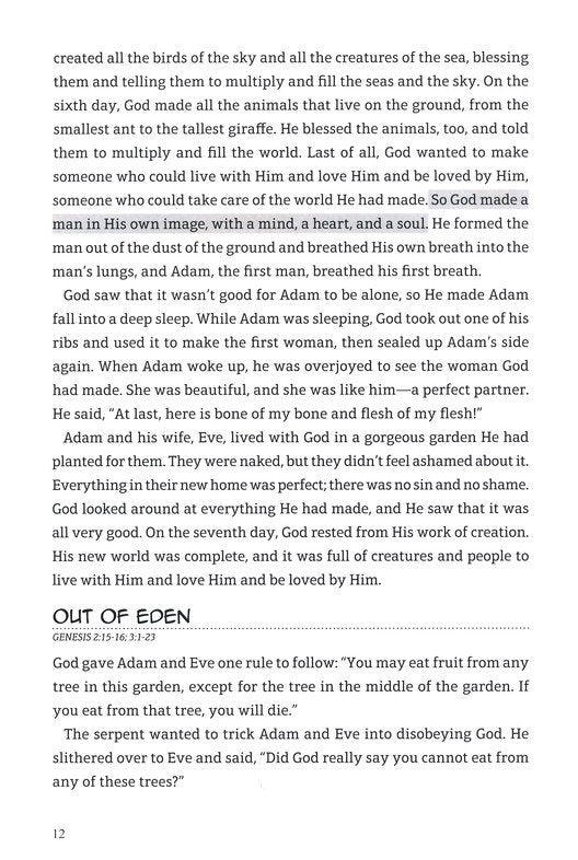 The Junior Bible - Hardcover