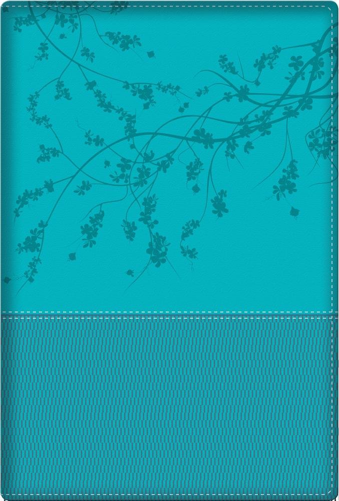 Biblia de la mujer conforme al corazón de Dios: Turquoise (Spanish Edition) Leather Bound  (The Bible for a Woman After God&