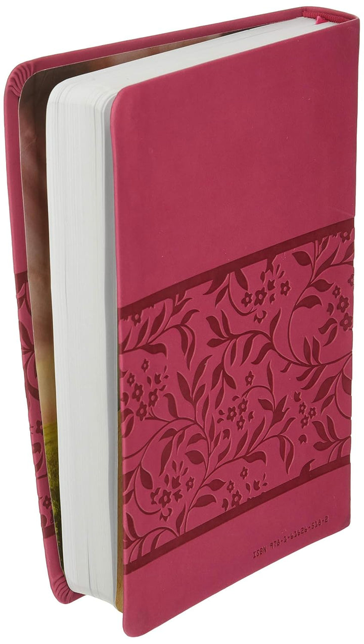KJV Deluxe Gift &amp; Award Bible (DiCarta Pink) (King James Bible) Imitation Leather