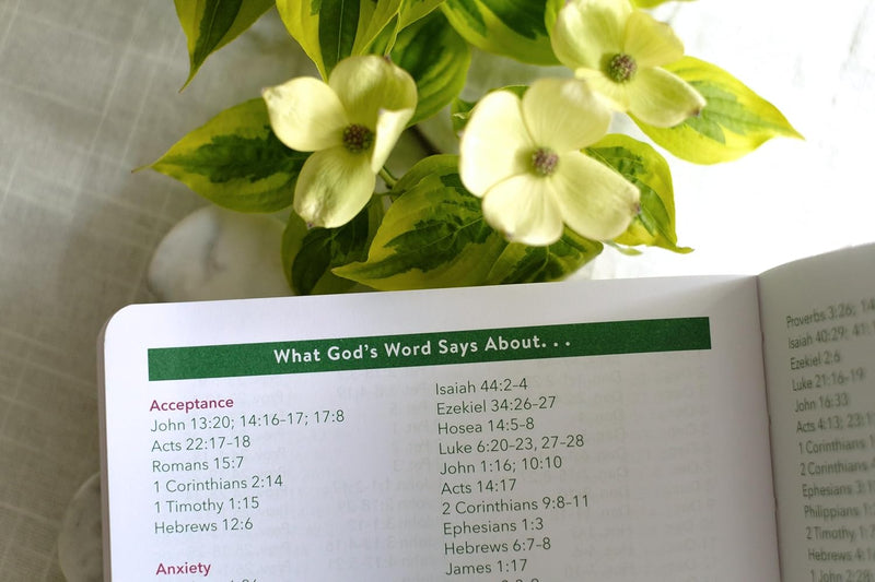 Read Through the Bible in a Year Planner: 2026 Edition
