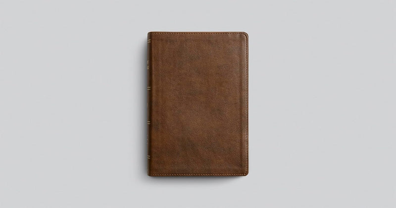 ESV Holy Bible: Dyslexia-Friendly Edition (TruTone, Brown)