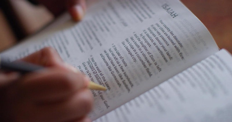 ESV Holy Bible: Dyslexia-Friendly Edition (TruTone, Brown)