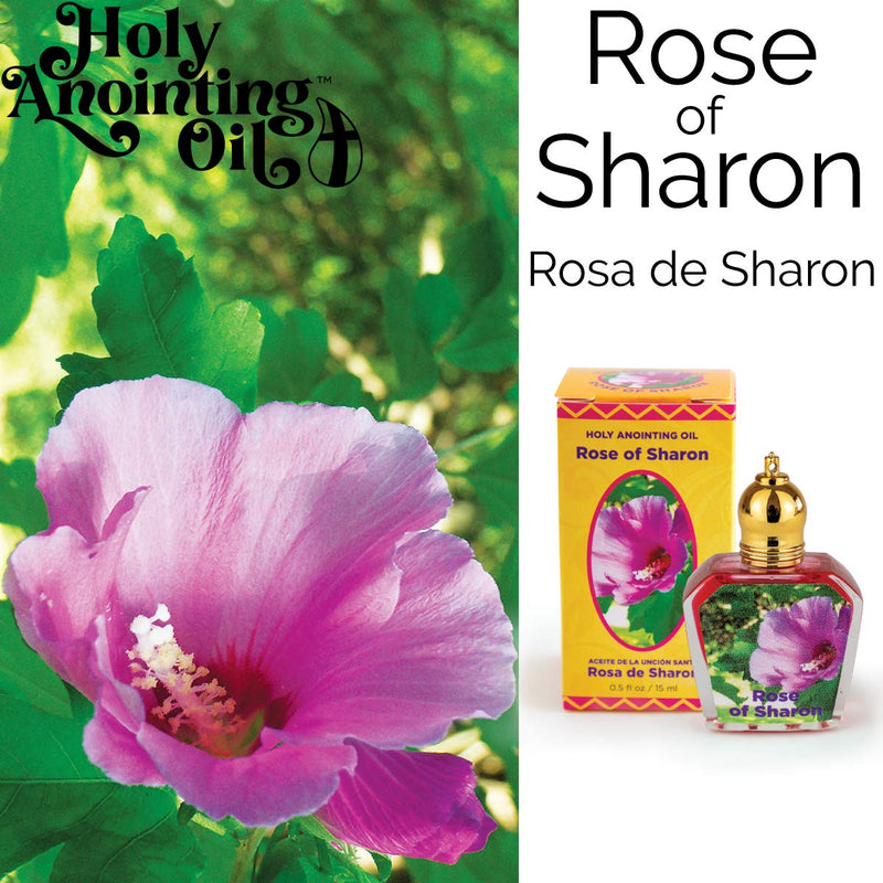 Rose of Sharon Holy Land Anointing Oil from Israel, 1/2 oz Roller Bottle from Jerusalem, Locally Sourced Essences