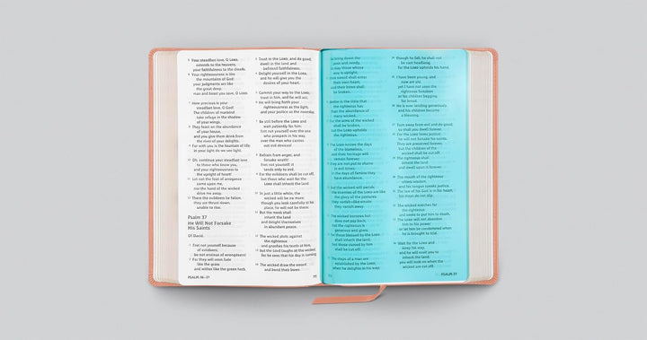 ESV Holy Bible: Dyslexia-Friendly (TruTone, Blush Rose)