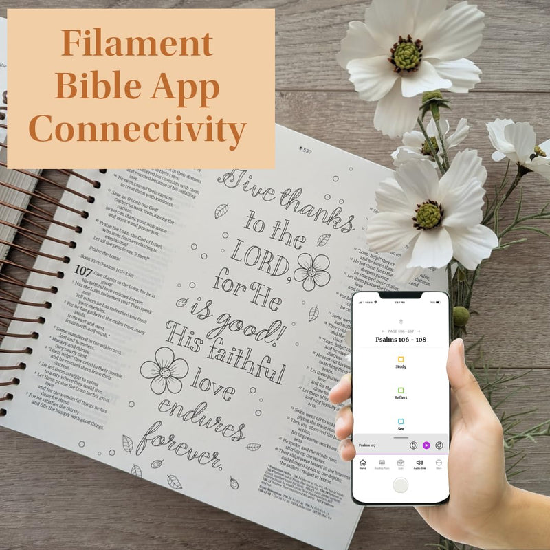 NLT DaySpring Inspire Illustrating Bible, Filament Enabled by Tyndale  and DaySpring