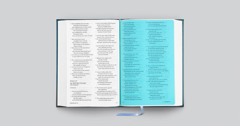 ESV Holy Bible: Dyslexia-Friendly Edition (Hardcover)