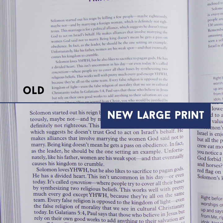 The Bible Recap Large Print Edition: A One-Year Guide to Reading and Understanding the Entire Bible Hardcover – Large Print