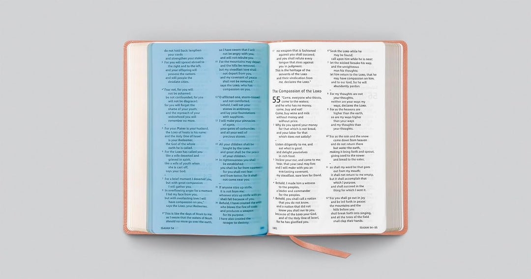 ESV Holy Bible: Dyslexia-Friendly (TruTone, Blush Rose)
