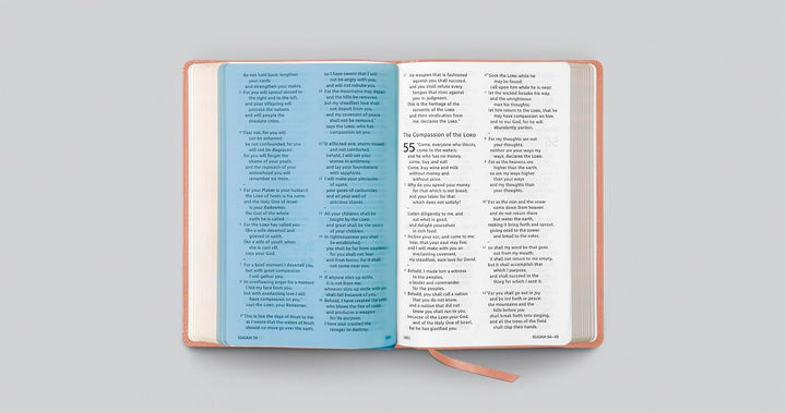 ESV Holy Bible: Dyslexia-Friendly (TruTone, Blush Rose)