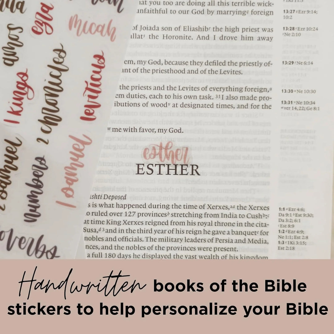 Esther Bible Journaling Kit, Loaded Bible journaling Kit in collaboration with @SydneyJournals
