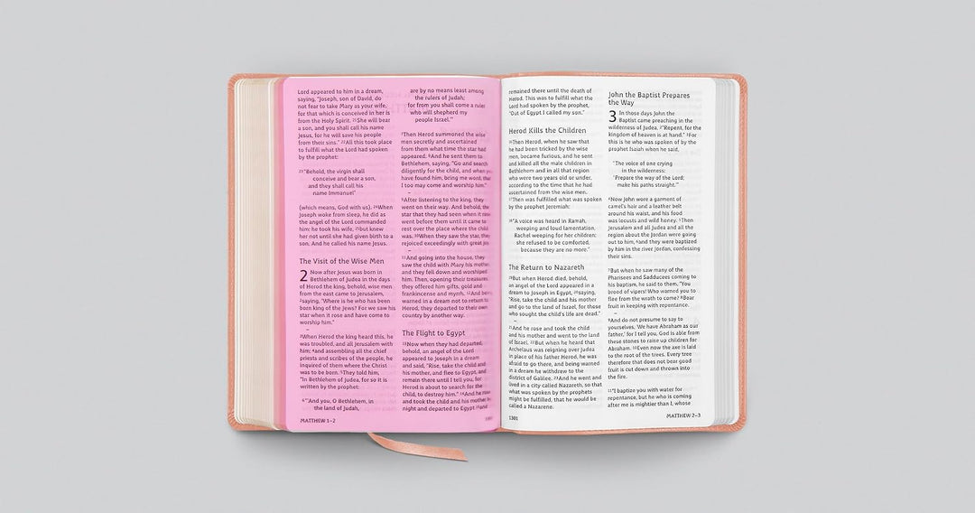 ESV Holy Bible: Dyslexia-Friendly (TruTone, Blush Rose)