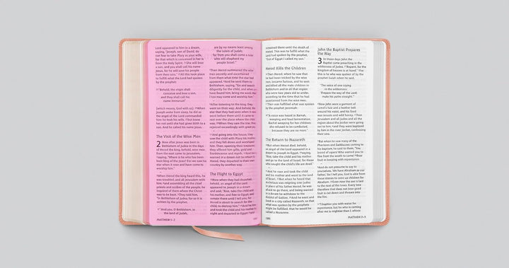 ESV Holy Bible: Dyslexia-Friendly (TruTone, Blush Rose)