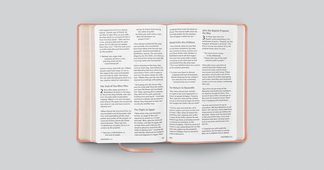 ESV Holy Bible: Dyslexia-Friendly (TruTone, Blush Rose)