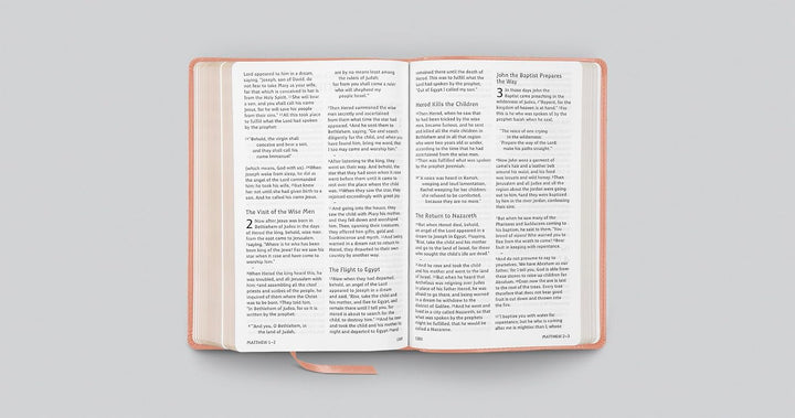 ESV Holy Bible: Dyslexia-Friendly (TruTone, Blush Rose)