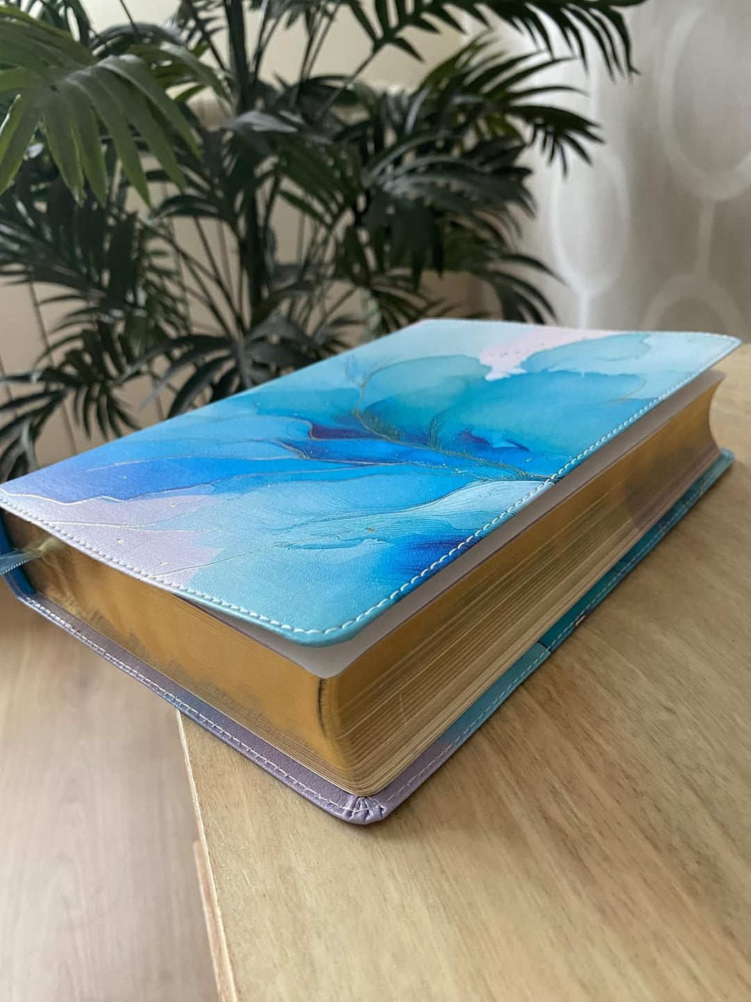 Biblia de una joven conforme al corazón de Dios-RVR60: Edición Brisa (A Young Woman After God&
