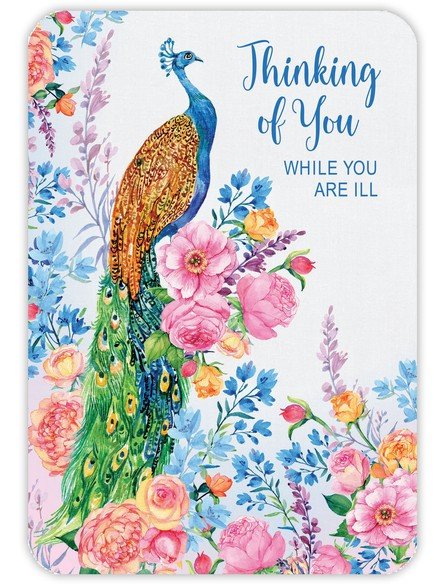 Faithfully Yours GET WELL Box Cards - Song Birds