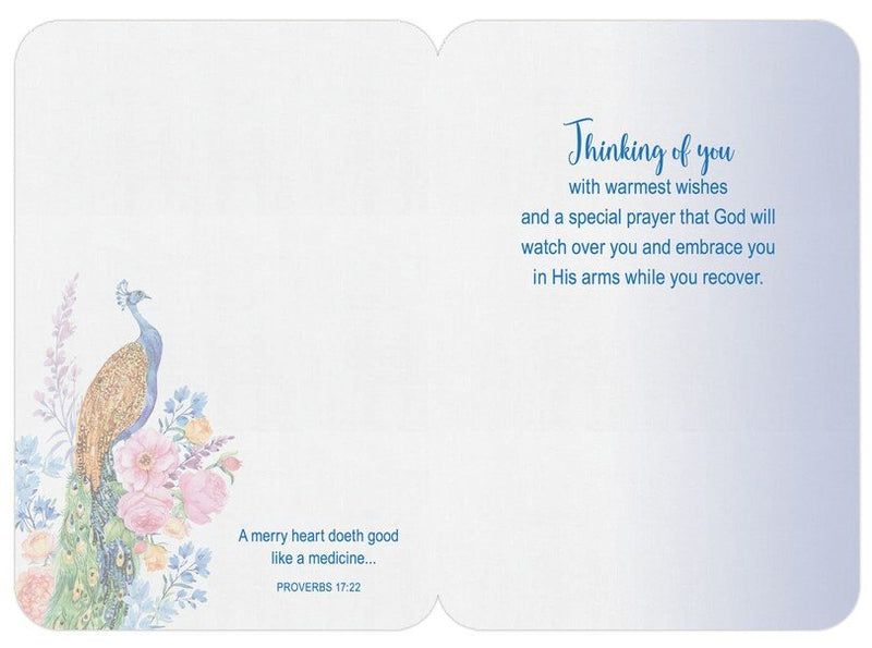 Faithfully Yours GET WELL Box Cards - Song Birds