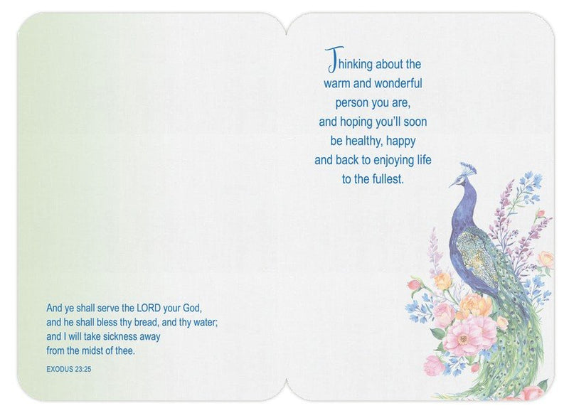 Faithfully Yours GET WELL Box Cards - Song Birds