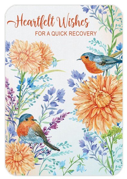 Faithfully Yours GET WELL Box Cards - Song Birds